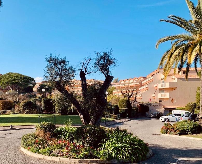 Antibes Secured Parc Velusine With Private Parking, Terrace, Pools And Tennis Courts. Exteriör bild