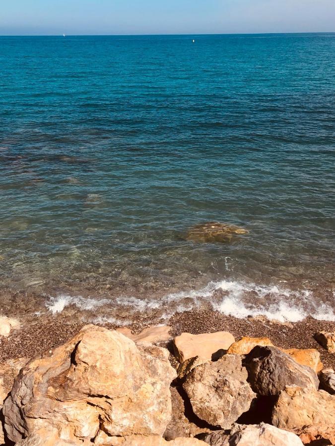 Antibes Secured Parc Velusine With Private Parking, Terrace, Pools And Tennis Courts. Exteriör bild