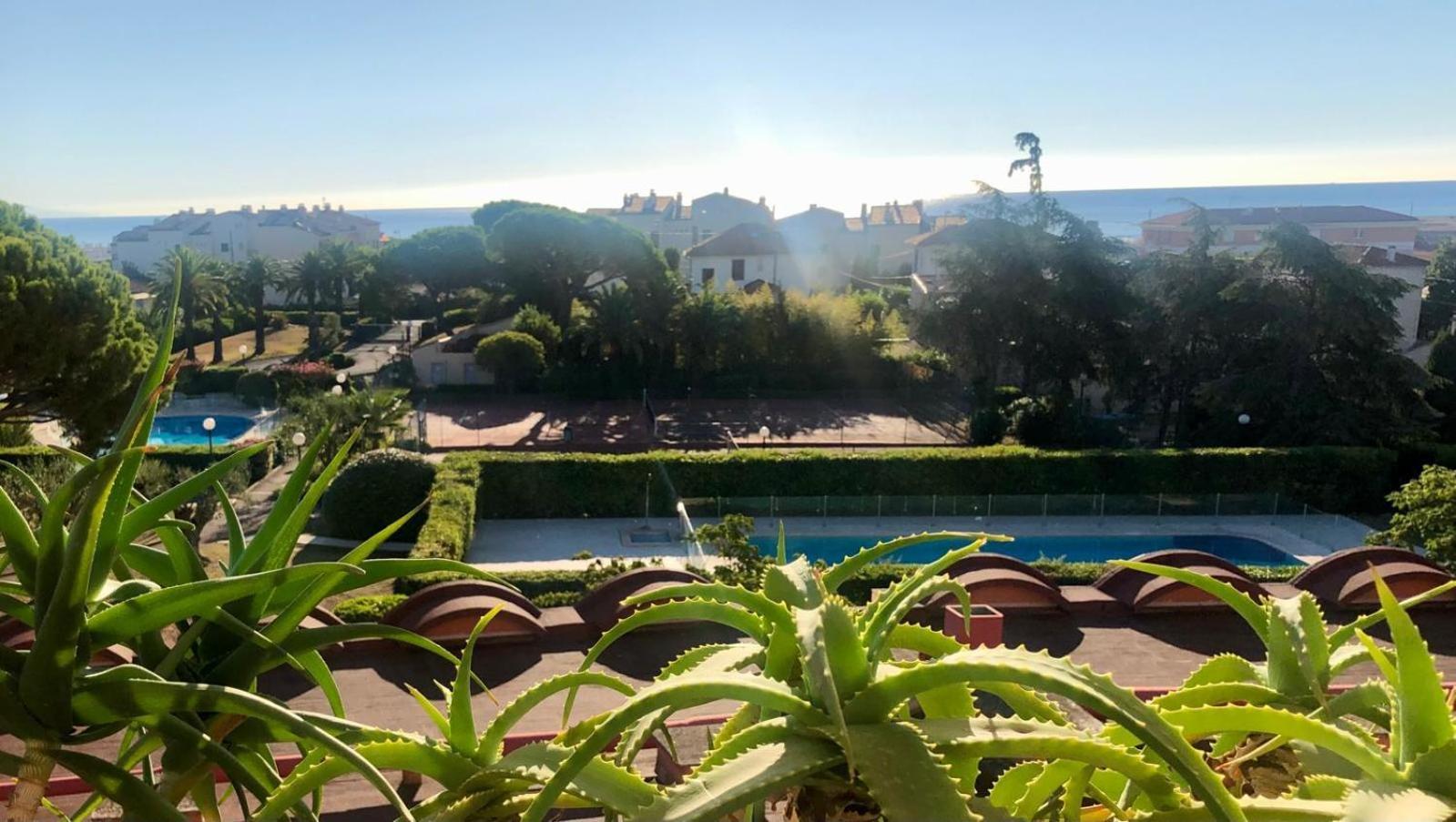 Antibes Secured Parc Velusine With Private Parking, Terrace, Pools And Tennis Courts. Exteriör bild